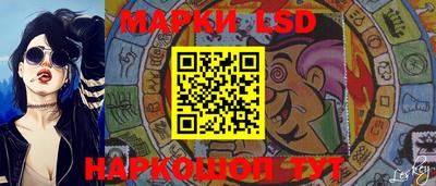гидра Новодвинск