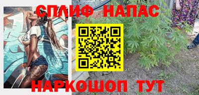 гидра Новодвинск
