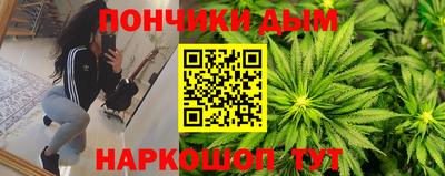 гидра Новодвинск