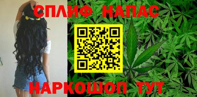 гидра Новодвинск