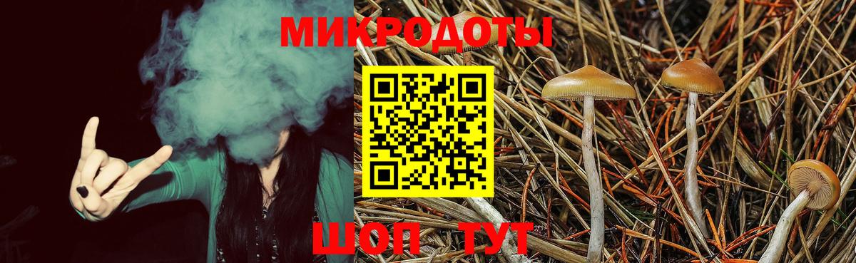 Ставрополь  Галлюциногенные грибы MAGIC MUSHROOMS  Вход с VPN  Псилоцибиновые грибы мицелий 